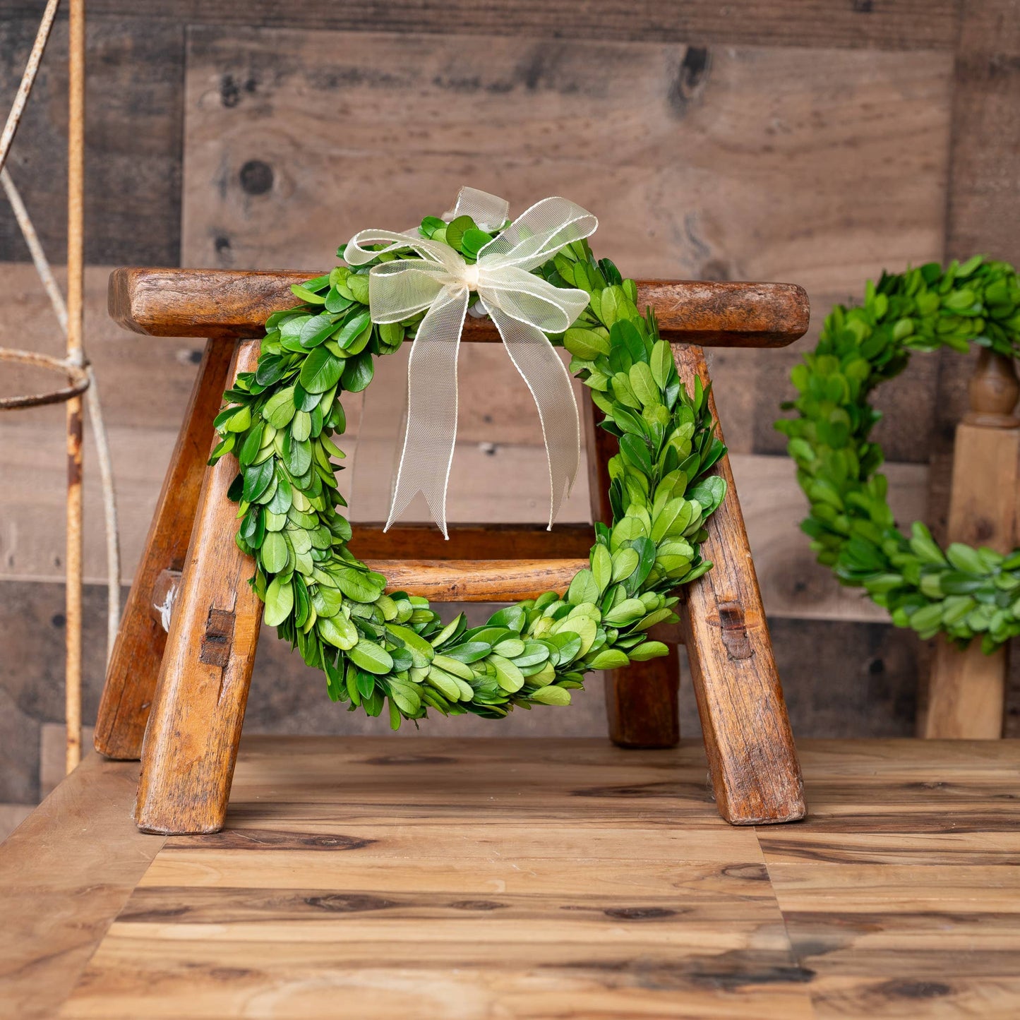 Mills Floral Company - Preserved Boxwood Wreath - Round with Ribbon - 8 Inch
