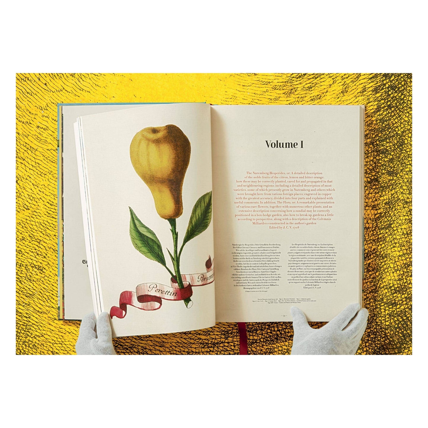 The Book of Citrus Fruits