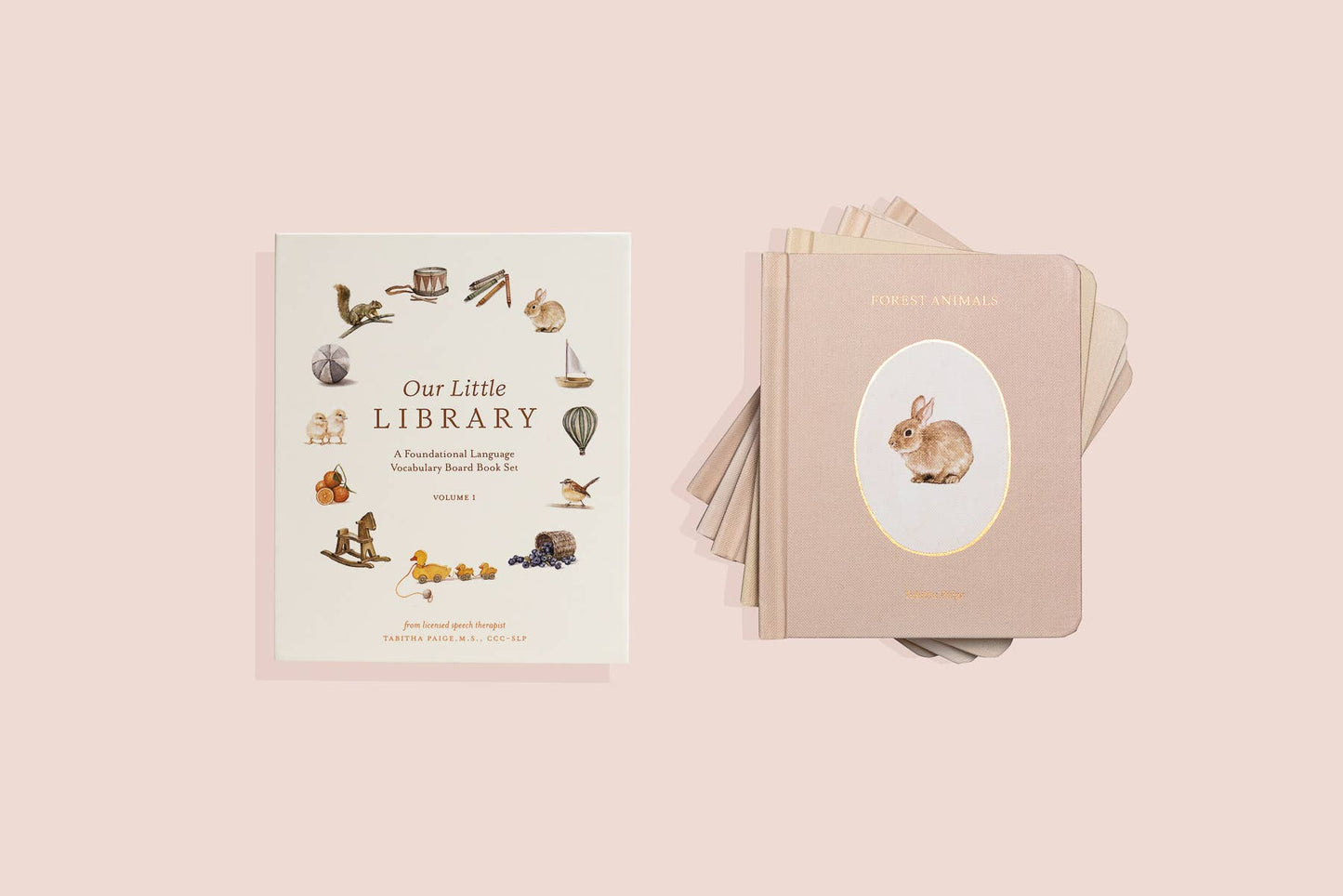 Our Little Library (5 Board Book Box Set)