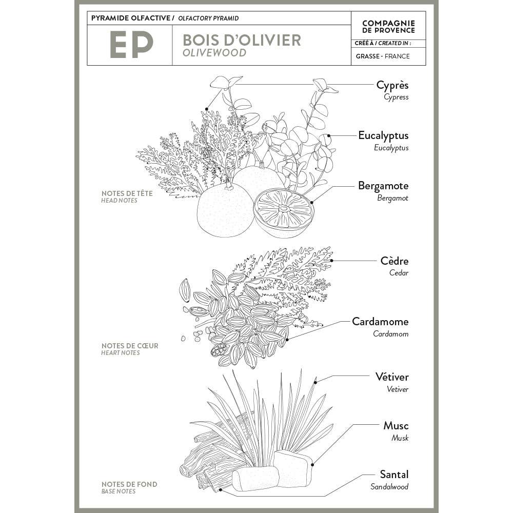 Cie Luxe Brands- Compagnie de Provence - Liquid Marseille Soap Olive Wood 16.7 fl oz Glass