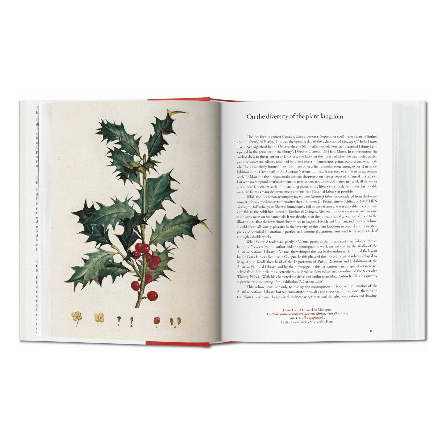 Open book with a botanical illustration of holly leaves and berries on a white background