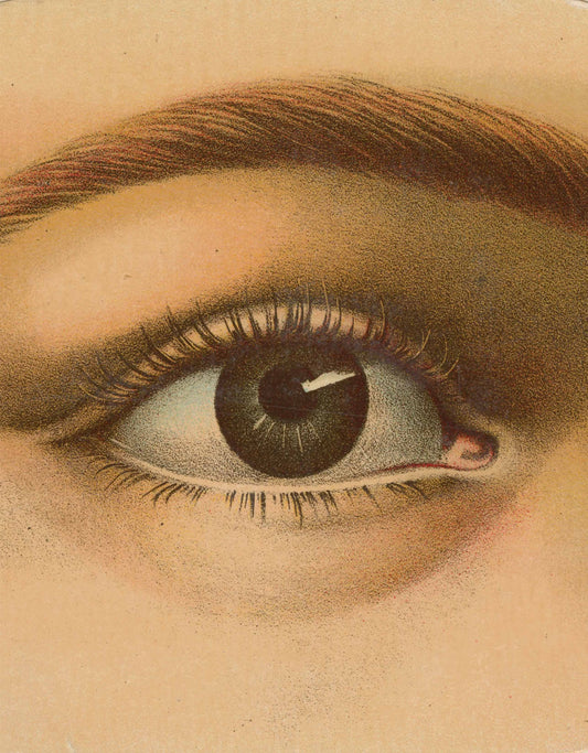 Close-up of a detailed illustration of an eye with brown and green tones. Le Marchande