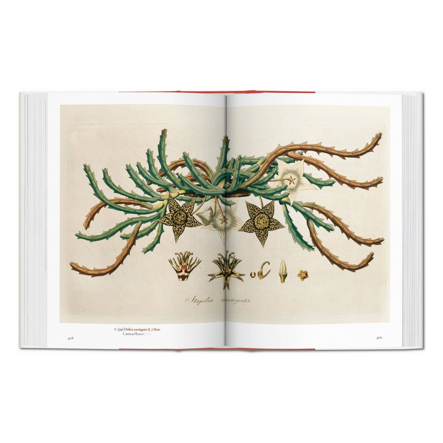 Book Art Le Marchande