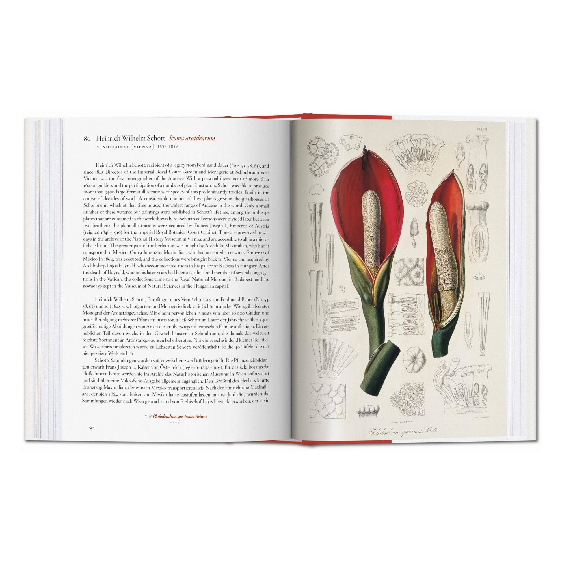 Open book with botanical illustrations and text on a white background