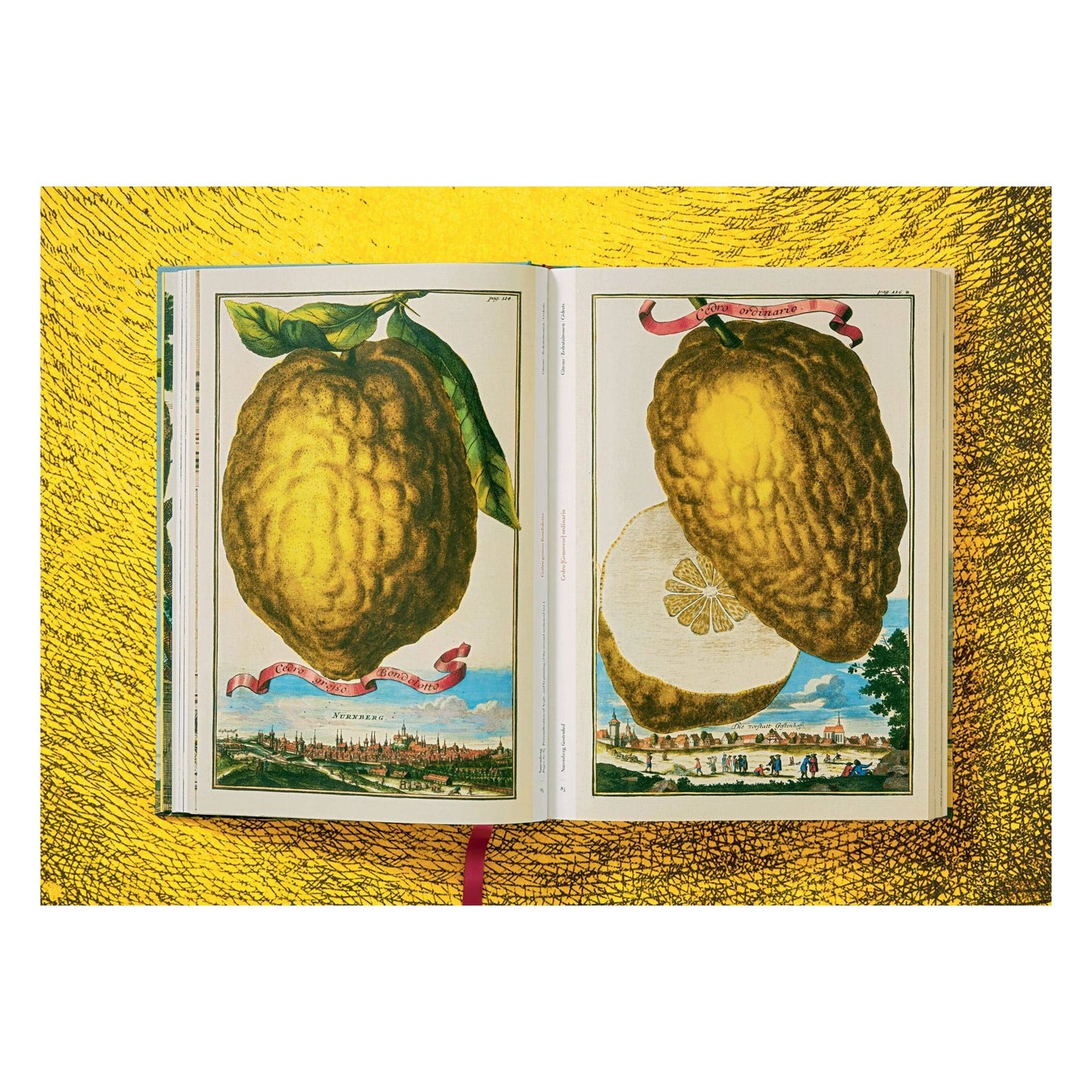The Book of Citrus Fruits