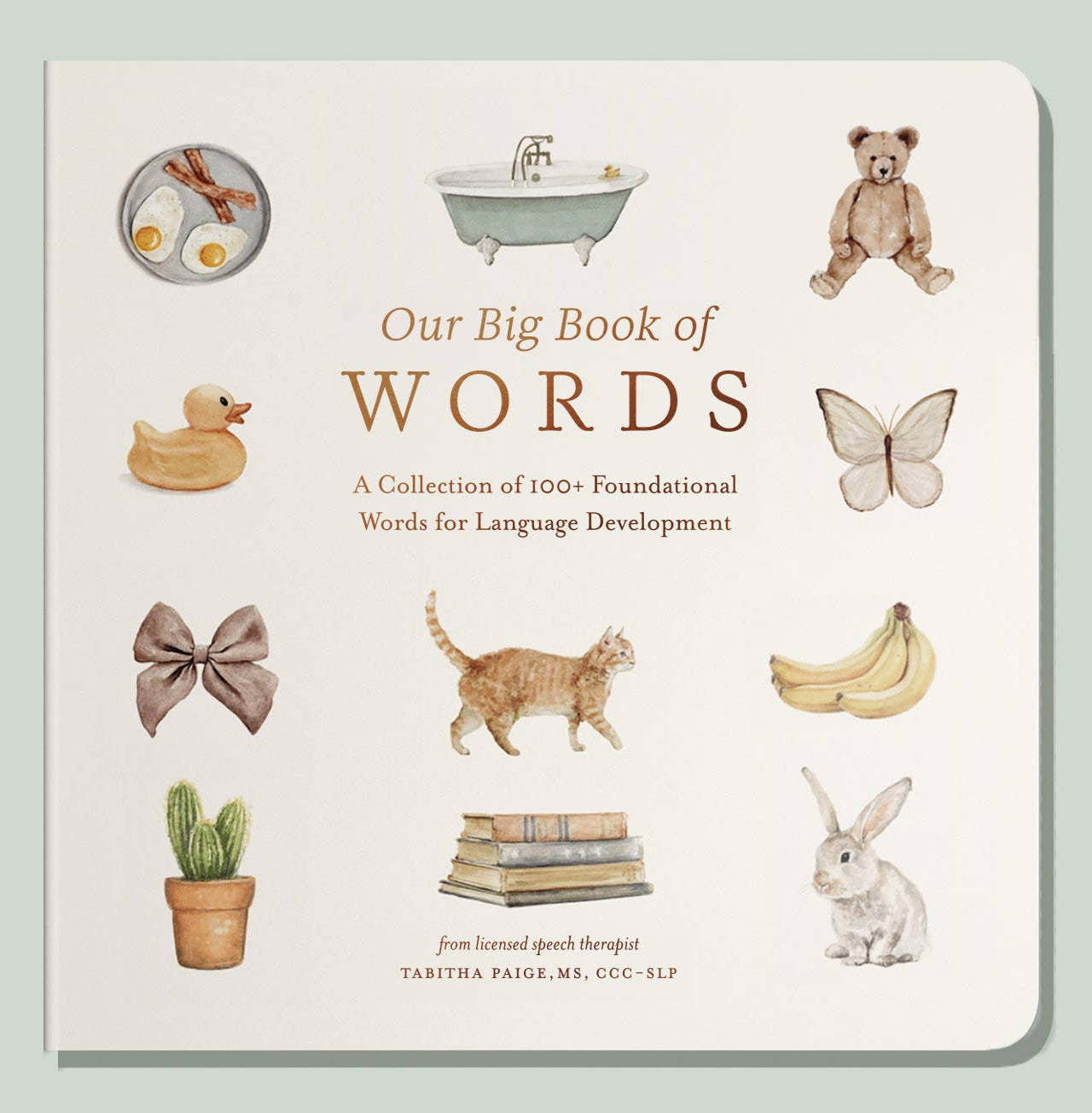 Book titled 'Our Big Book of Words' with illustrations on a light green background