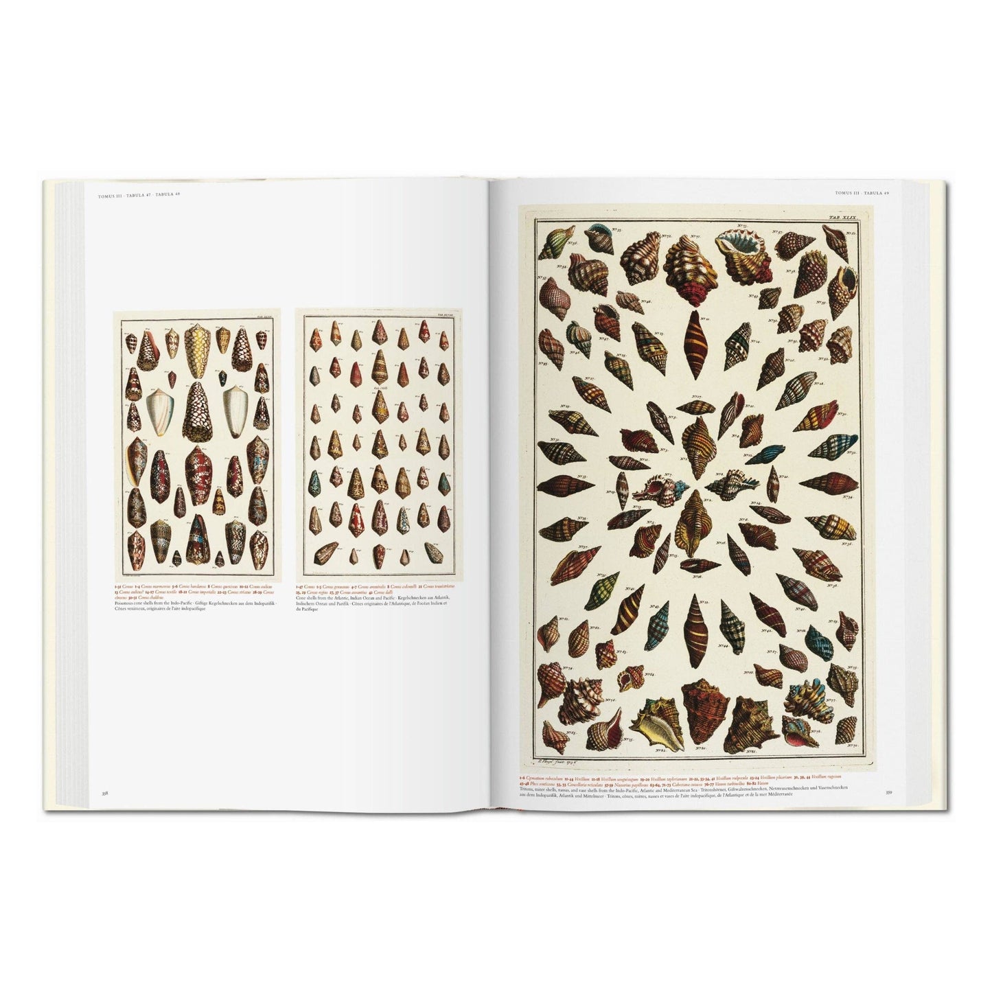 Cabinet of Natural Curiosities