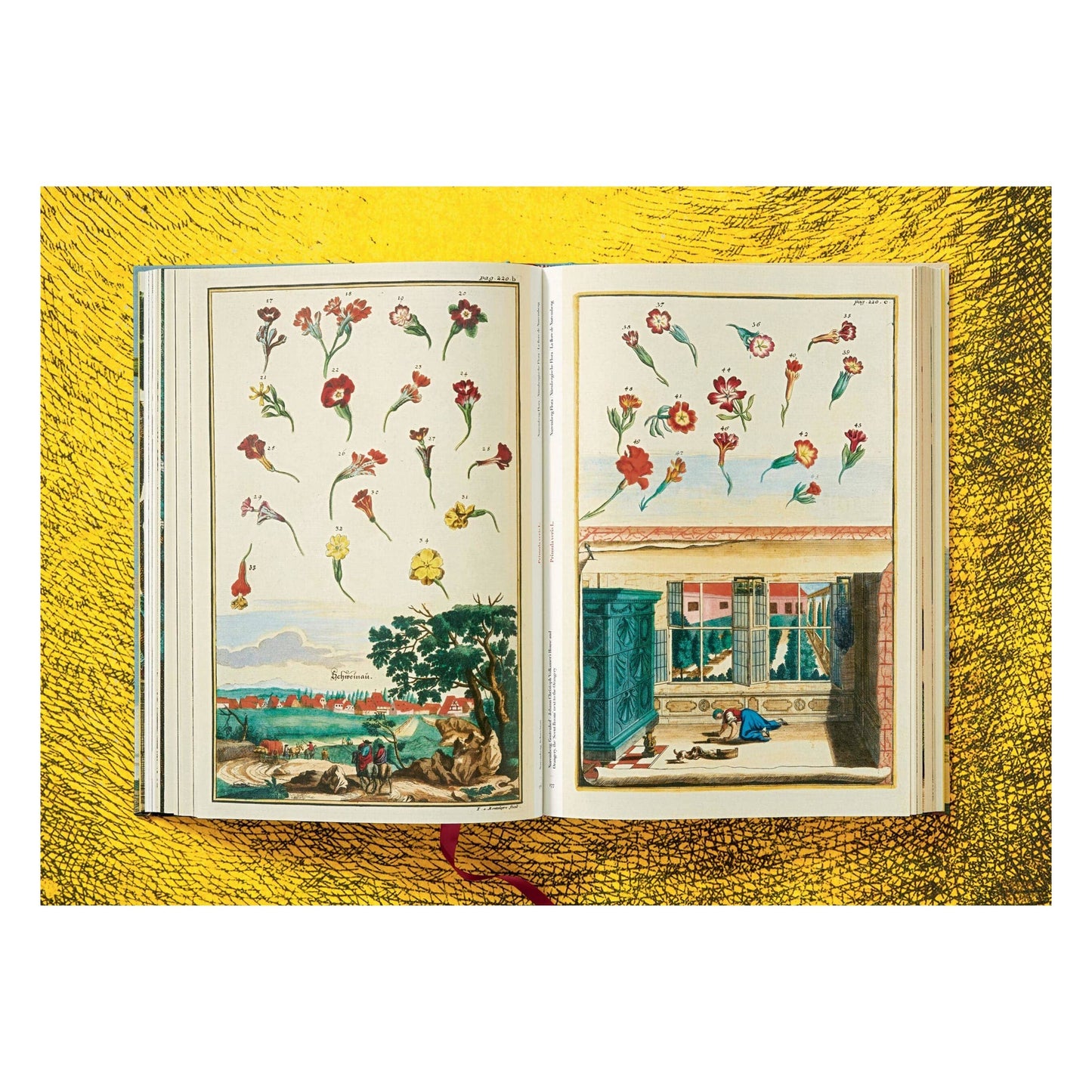 The Book of Citrus Fruits
