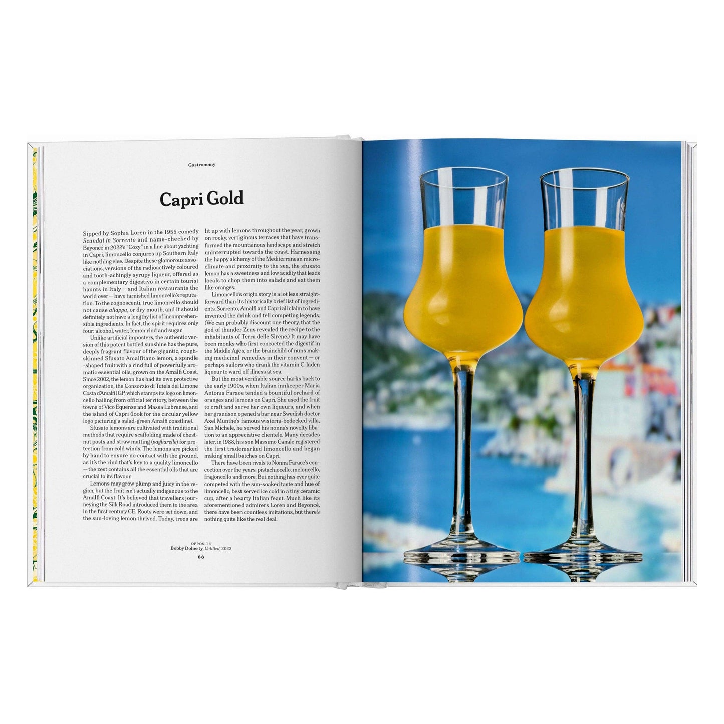 The Gourmand's Lemon.