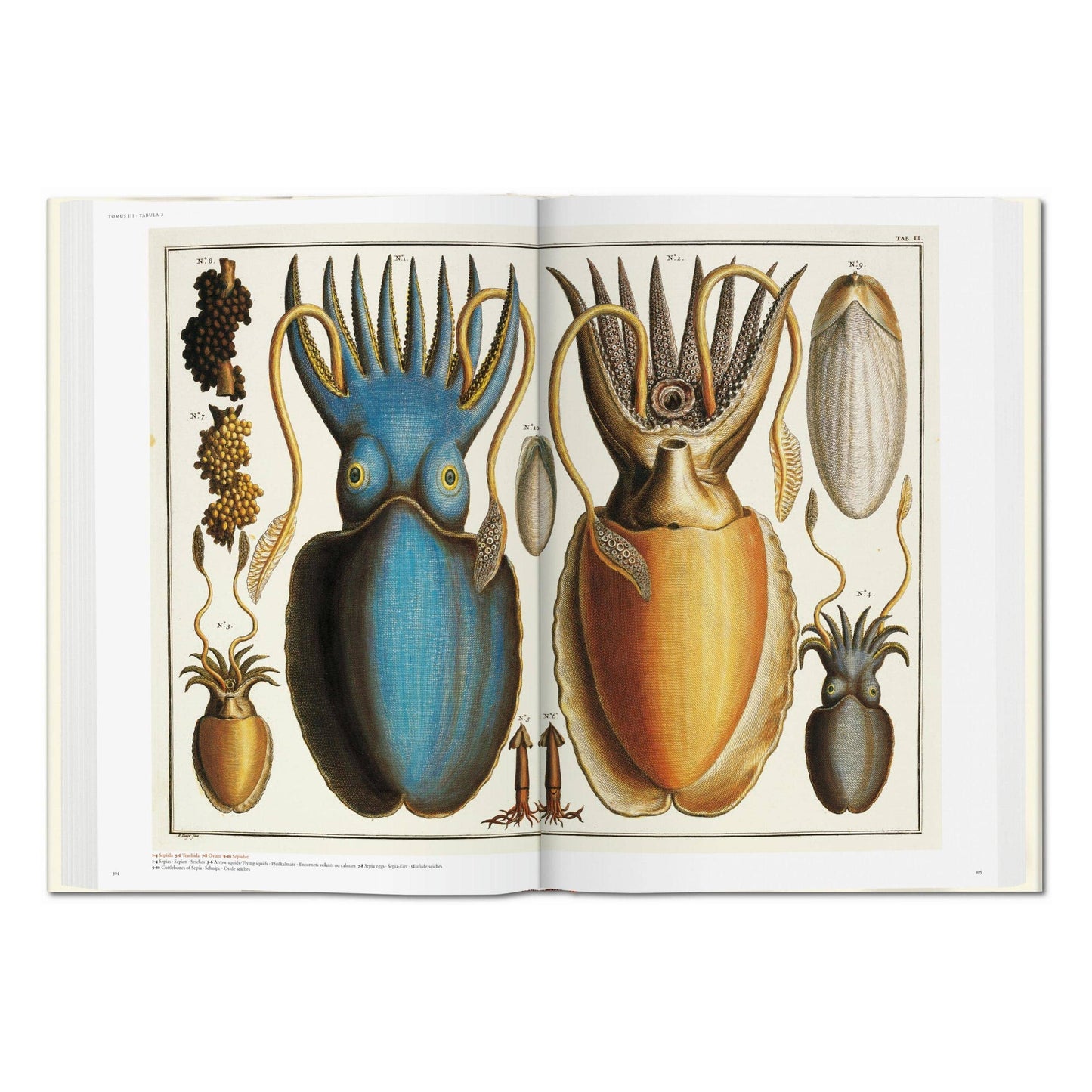 Cabinet of Natural Curiosities