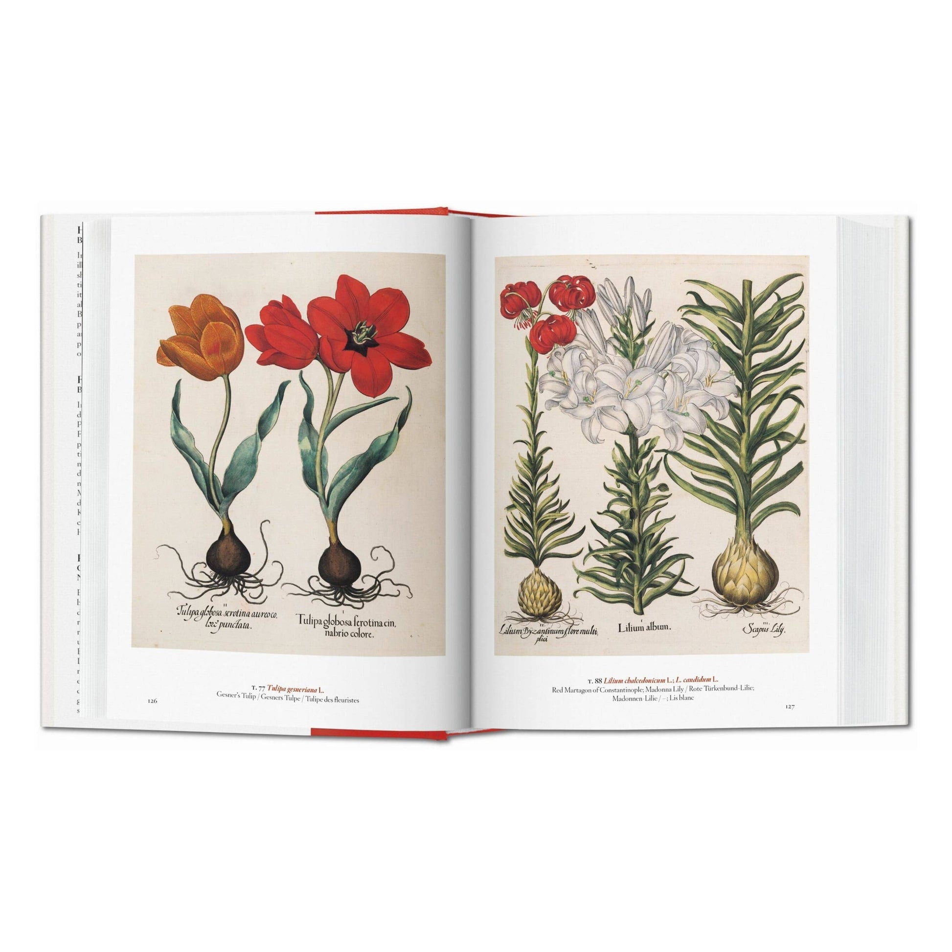 Book botanical